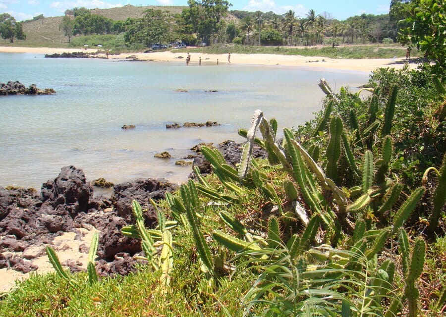 Praia dos Castelhanos