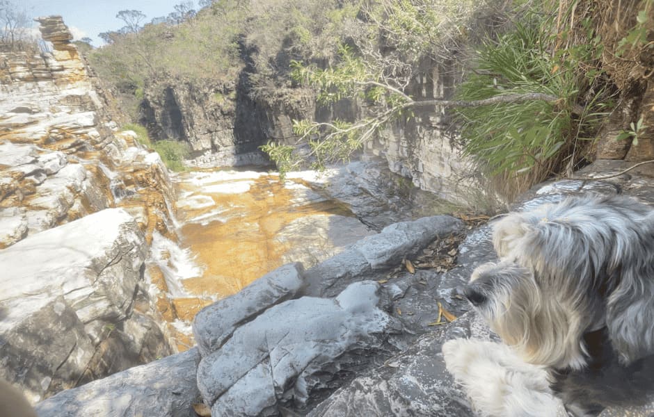 Complexo da Capivara. Experiência pet friendly inesquecível na Serra da Canastra (MG)