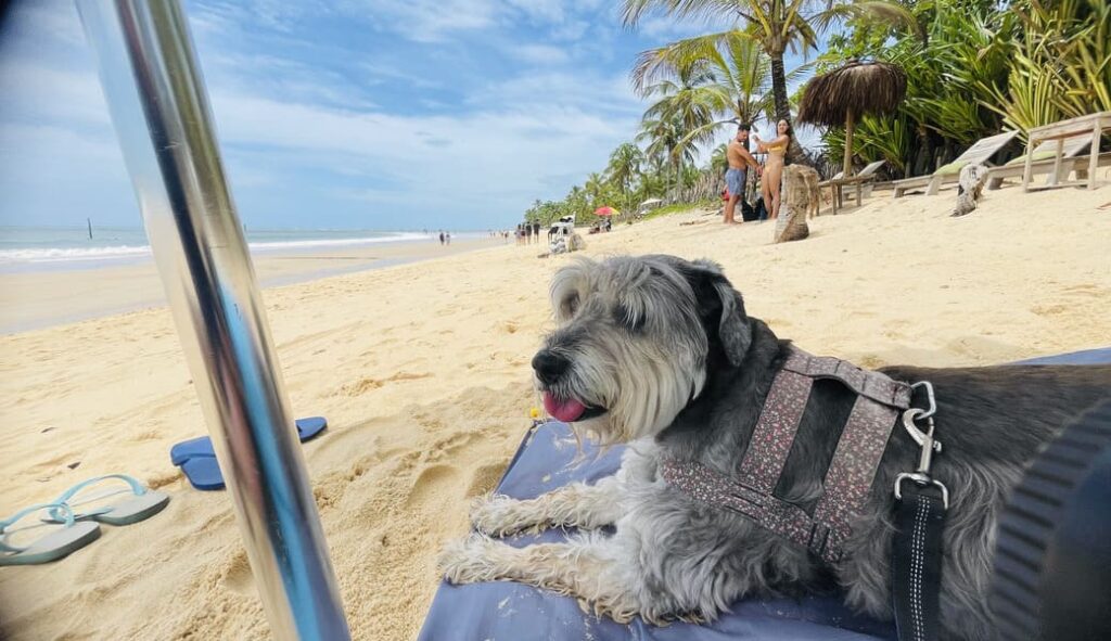 Meg na Praia dos Coqueiros (BA)