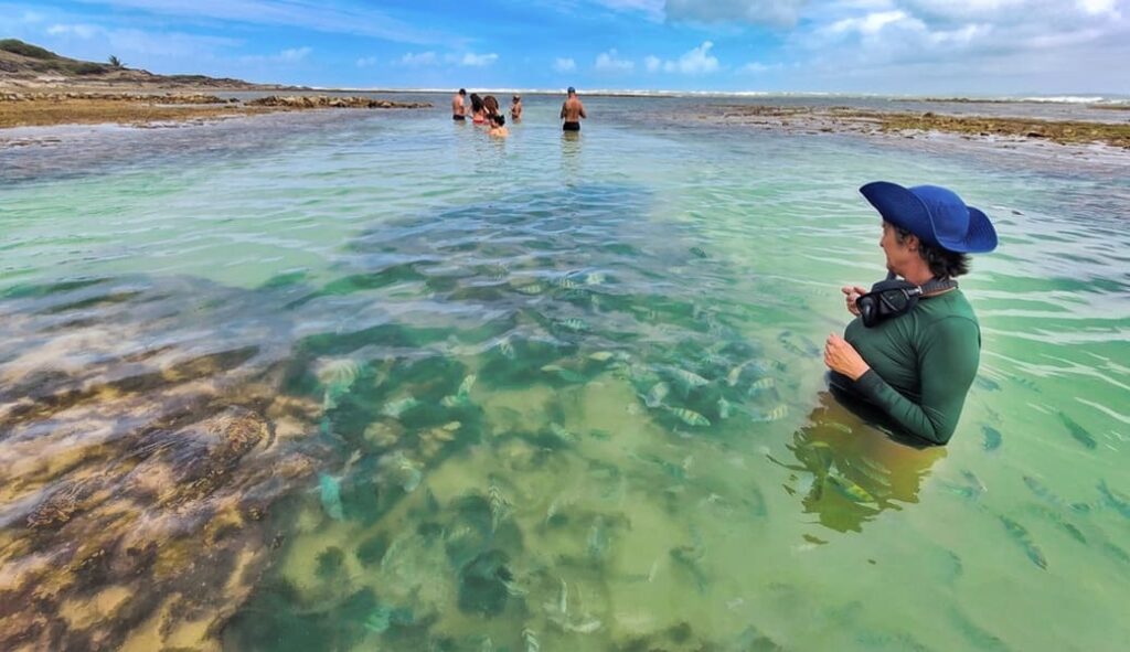 Ilha de Sto Aleixo, praia da ferradura